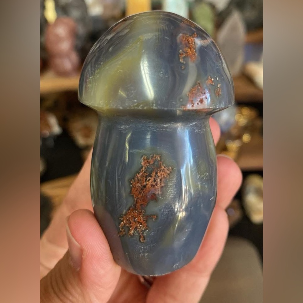 Black Agate with Red Moss Agate Mushroom